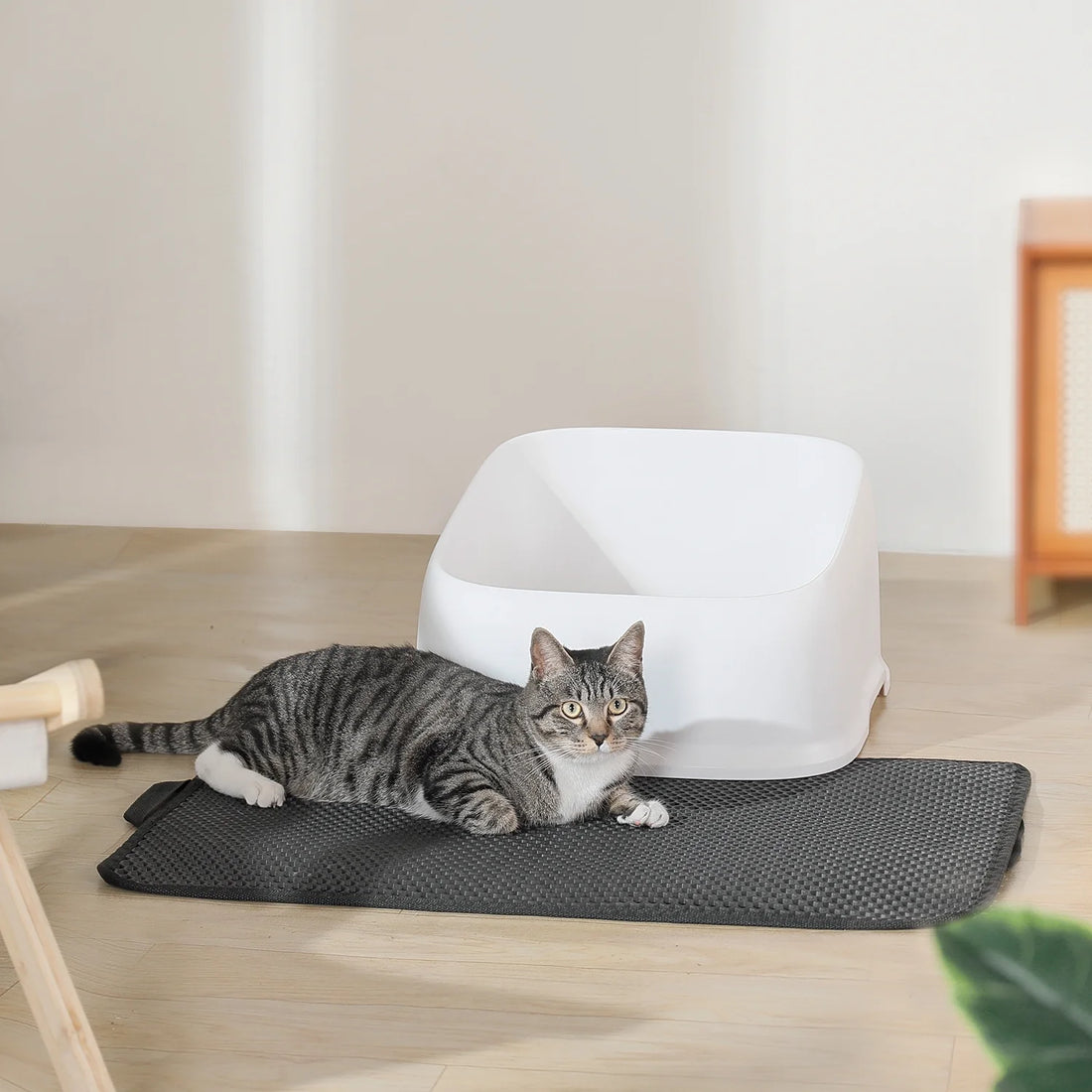 Tapete De Arena Para Gatos Doble Capa